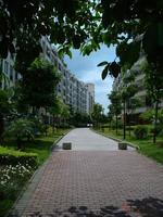 8月 南宁奥园实景