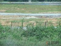 远辰·龙湾名郡实景图2011-8-25