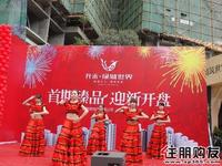 升禾·绿城世界首期开盘(2011.01.01)