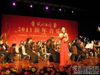 凤岭名园跨新年高雅音乐会(12.31)