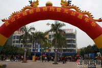 蓝山上城业主嘉年华(2011.01.01)