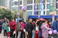 蓝山上城业主嘉年华(2011.01.01)