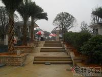 兴进·上郡实景图