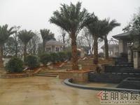 兴进·上郡实景图