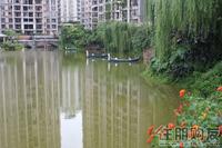 2011.6.17 莱茵湖畔 实景图