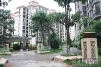 2011.6.17 莱茵湖畔 实景图