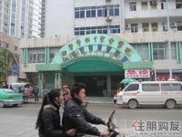 项目旁红十字会（3.19）