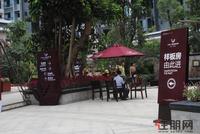 9月10日升禾·绿城世界园林实景图