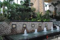 9月10日升禾·绿城世界园林实景图