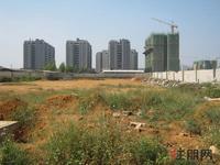 11.12 政府规划公园地块现场