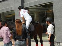 11.12 马术体验日现场