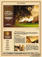 凯悦国际8月25日广告