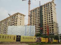 赛格·都邦国际在建实景