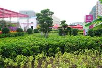 2011年9月10日开盘活动