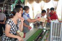 2011年9月10日开盘活动