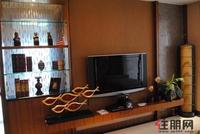 B1户型样板间之客厅电视墙