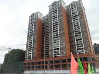 2011.11.08金龙湾实景图