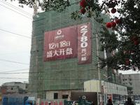 卓富·国际城工程进度图 