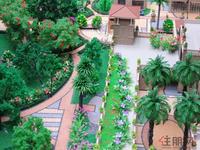 11月15日魅力首座售楼部实景图