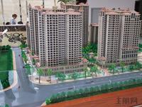 11月15日魅力首座售楼部实景图