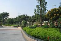 11.14邕江明珠实景图