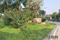 11.14邕江明珠实景图