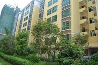 中原新都一期实景