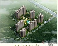 欣隆盛世鸟瞰图(8.11)