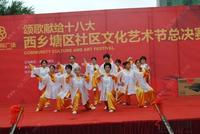 2012.11.10“西乡塘区社区文化艺术节”总决赛现场