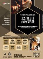 2012.12.07天健·国际公馆广告欣赏