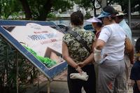 碧园·海语城15#楼开盘