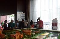 碧园·海语城15#楼开盘