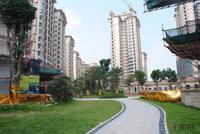 园林实景图（8.8）