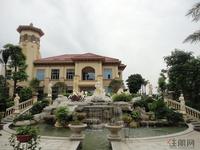 大都汇