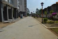 南地·海江南实景图2012-10-19