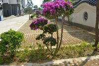 南地·海江南实景图2012-10-19