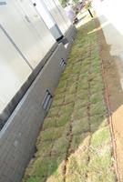 南地·海江南实景图2012-10-19