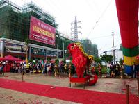 开盘现场舞狮表演