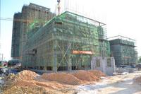 东方之珠花园实景图2012-10-31