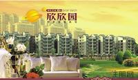 效果图