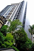 8.22升禾绿城世界实景图