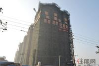 南地·海江南实景图