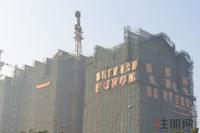 南地·海江南实景图