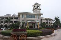 龙胤·当归实景图(12.19)