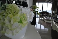 南地·海江南样板房