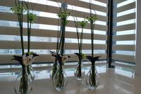 南地·海江南样板房