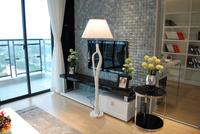 南地·海江南样板房