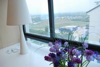 南地·海江南样板房