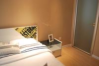 南地·海江南样板房