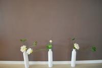 南地·海江南样板房